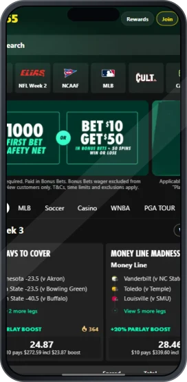Banner ilustrativo de Bet365